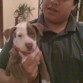 antes del corte